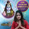 Om Namah Shivaya